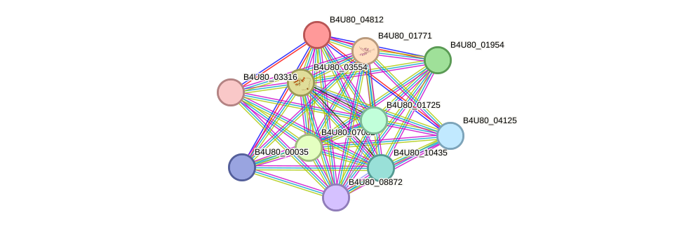 STRING protein interaction network