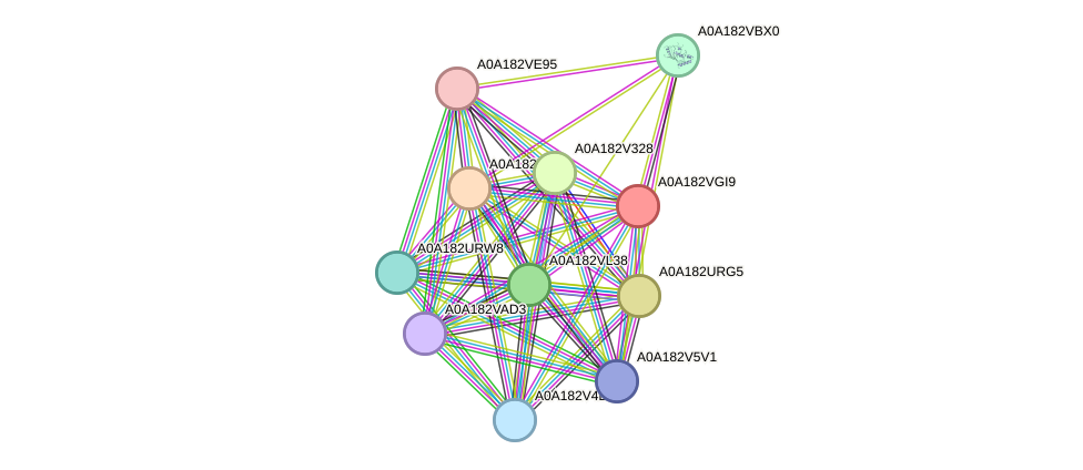 STRING protein interaction network