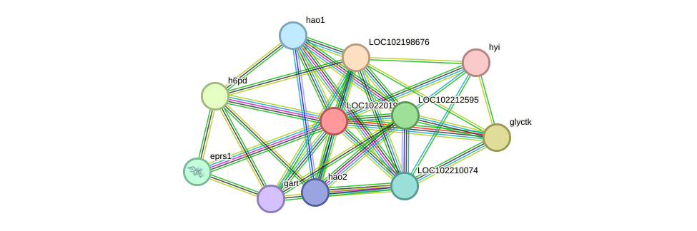 STRING protein interaction network