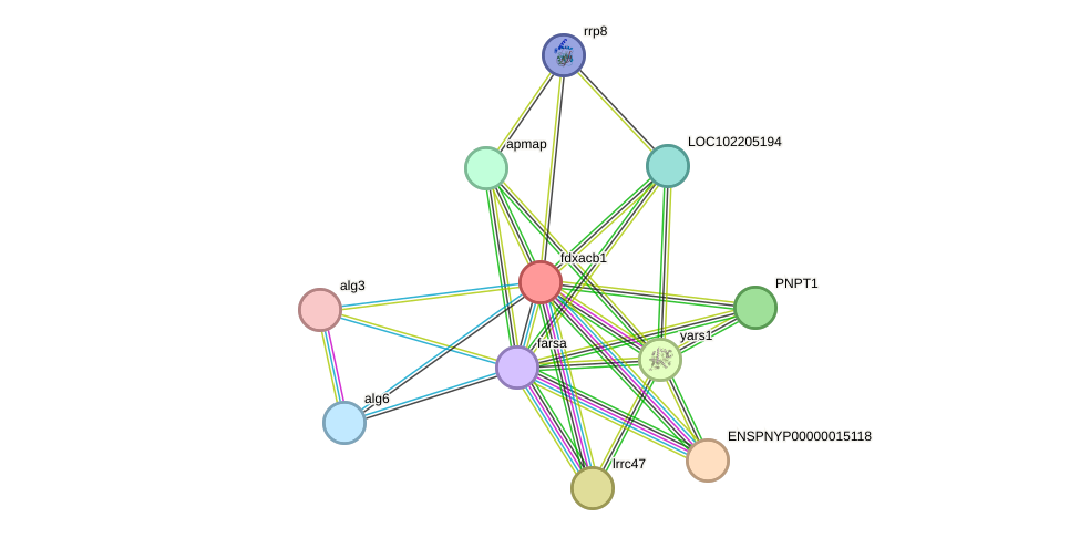 STRING protein interaction network