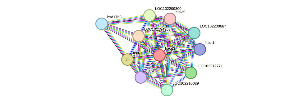 STRING protein interaction network