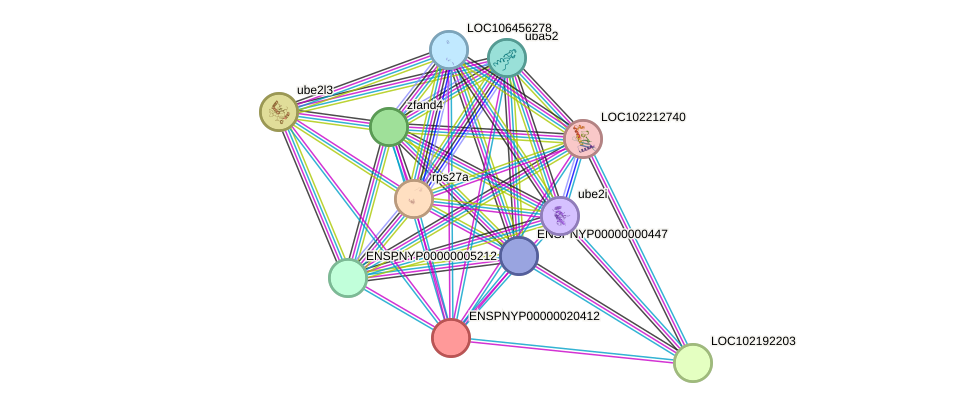 STRING protein interaction network