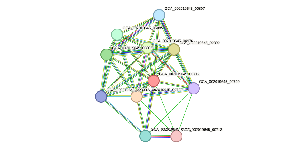 STRING protein interaction network