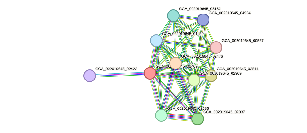 STRING protein interaction network