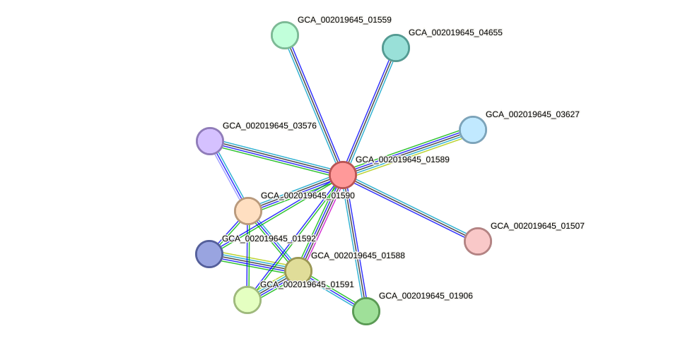 STRING protein interaction network