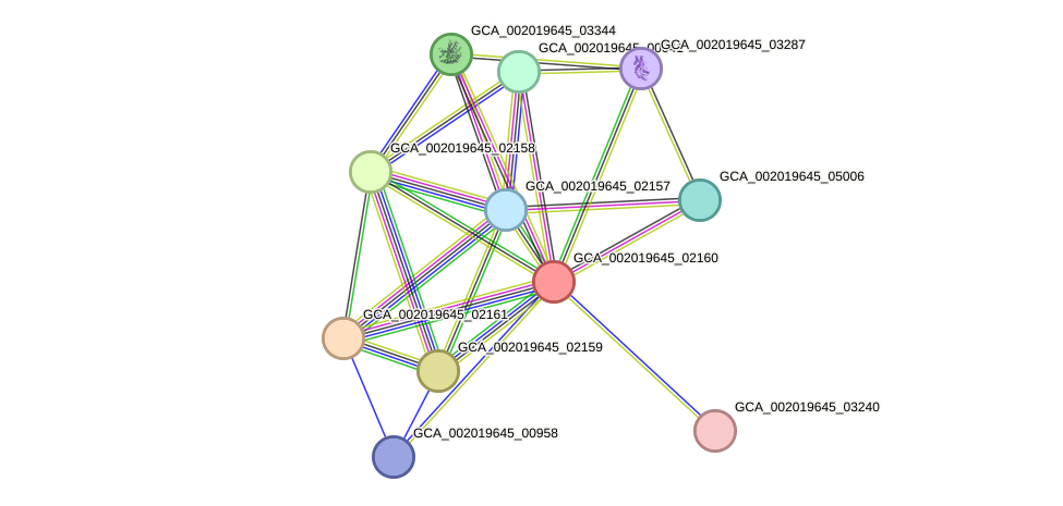 STRING protein interaction network