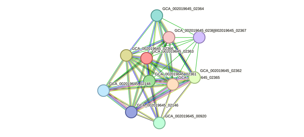 STRING protein interaction network