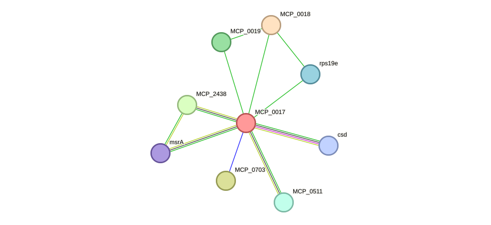 STRING protein interaction network