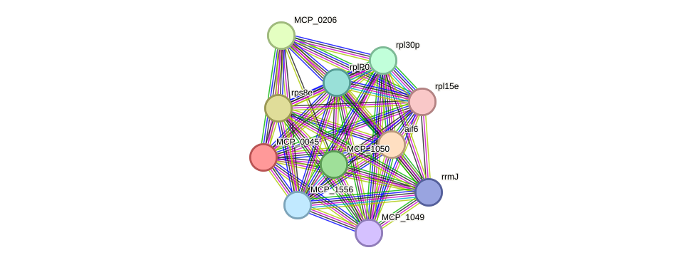 STRING protein interaction network