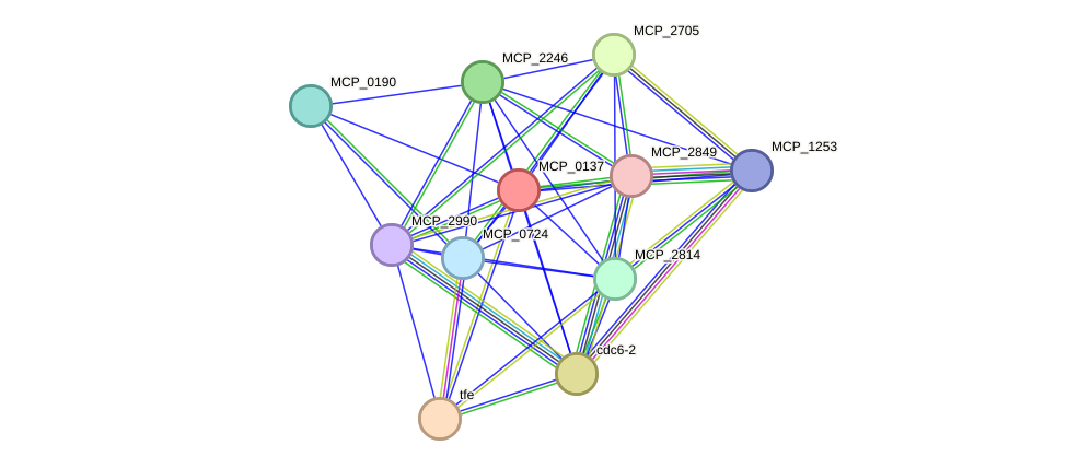 STRING protein interaction network