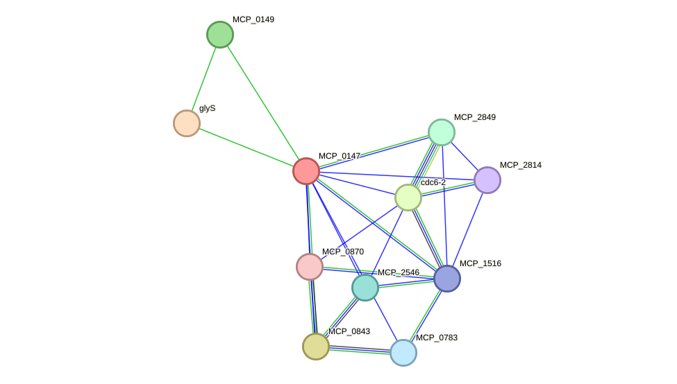 STRING protein interaction network