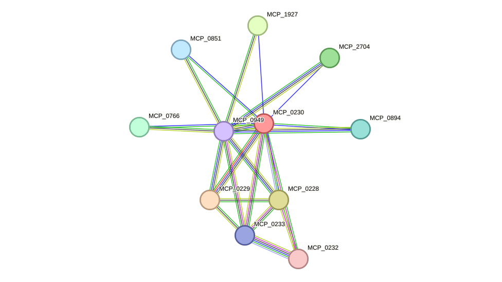 STRING protein interaction network