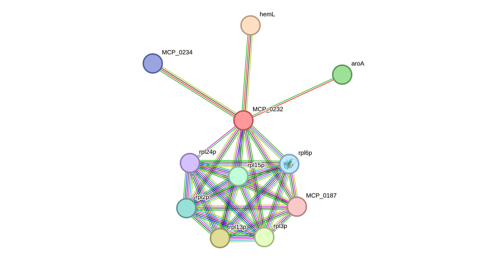 STRING protein interaction network