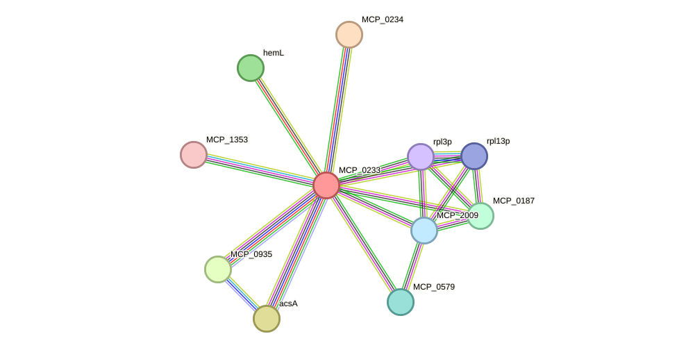 STRING protein interaction network