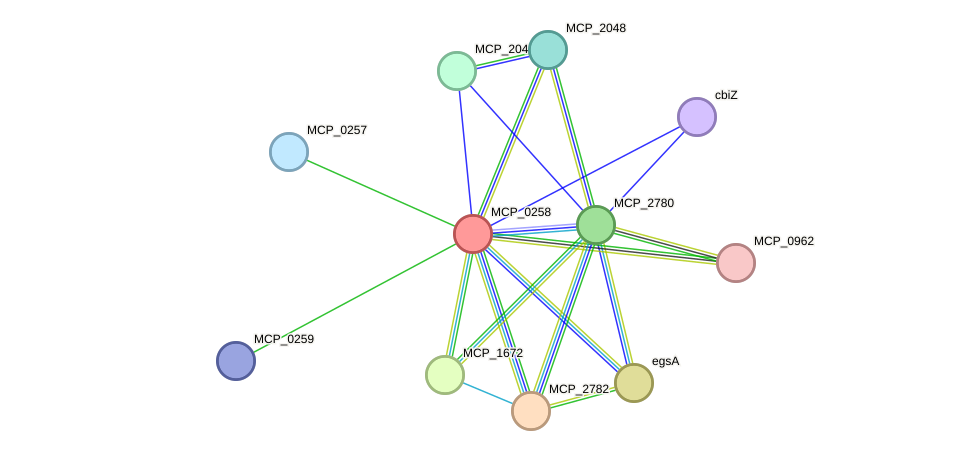 STRING protein interaction network