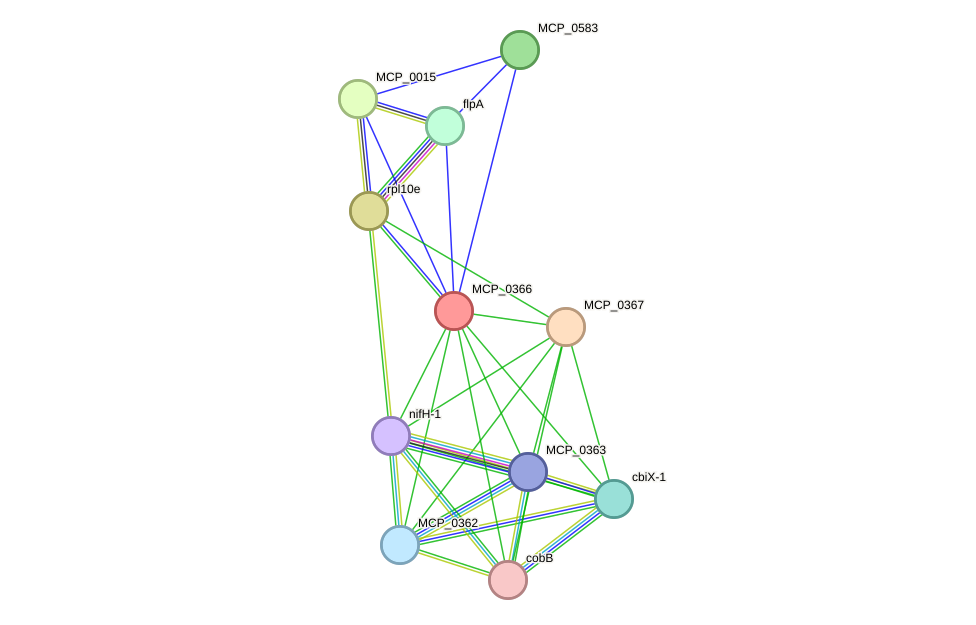 STRING protein interaction network