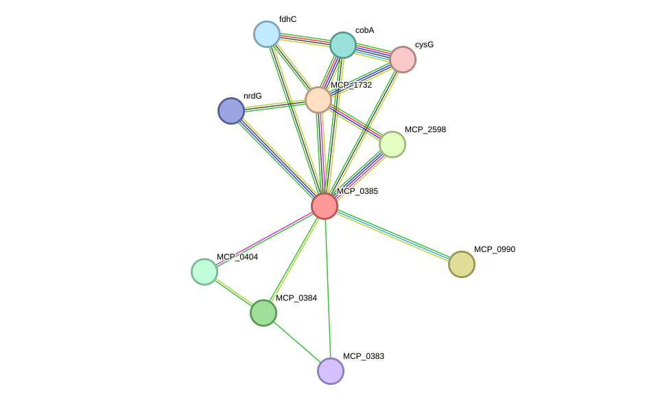 STRING protein interaction network