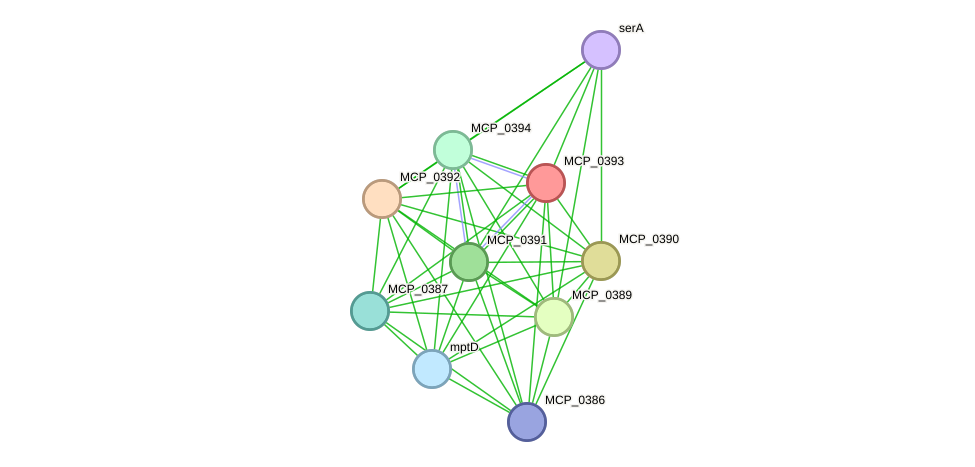STRING protein interaction network