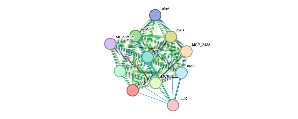 STRING protein interaction network