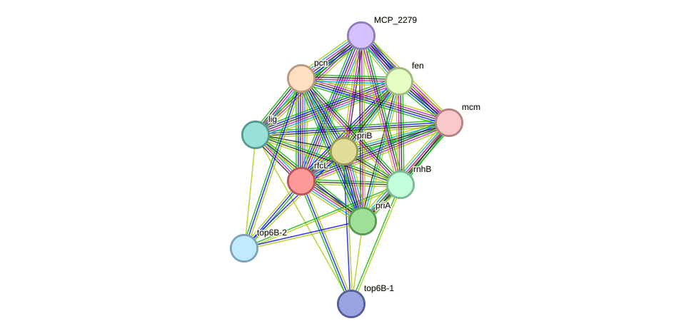 STRING protein interaction network
