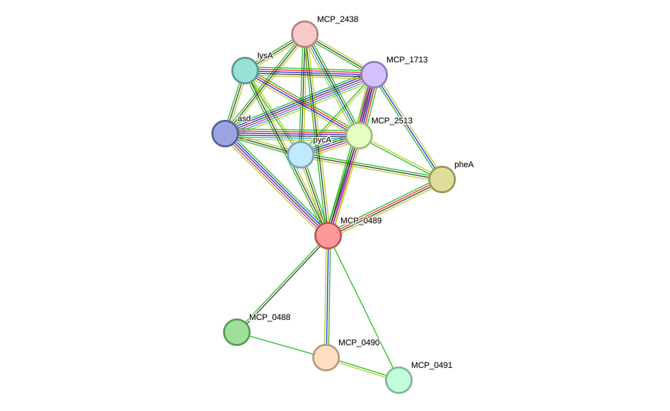 STRING protein interaction network