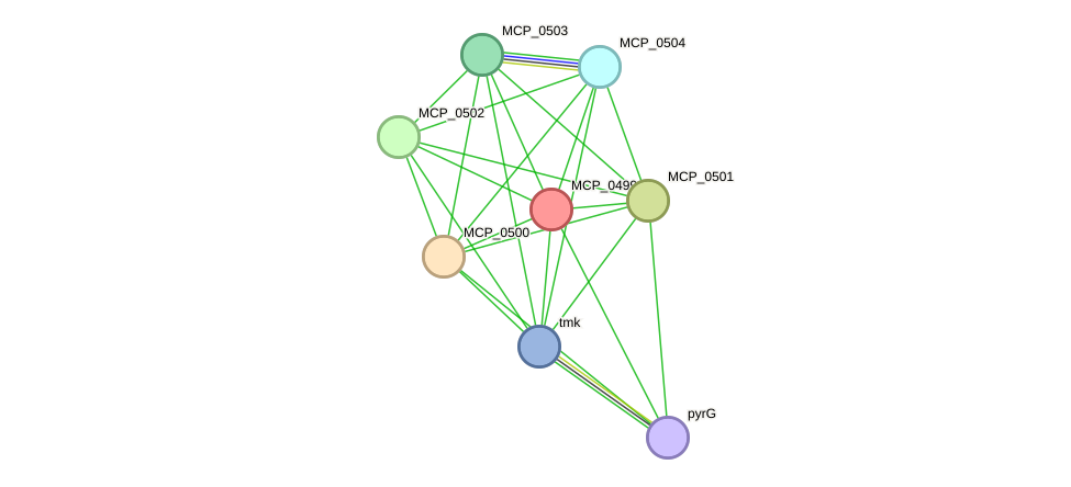 STRING protein interaction network