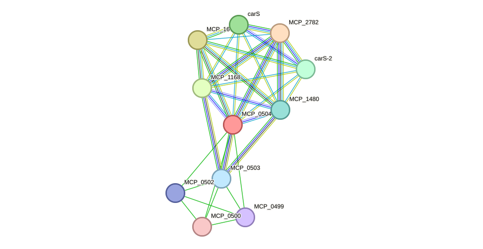 STRING protein interaction network