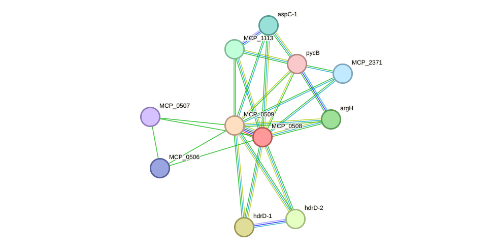 STRING protein interaction network