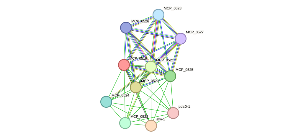STRING protein interaction network
