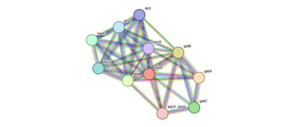 STRING protein interaction network