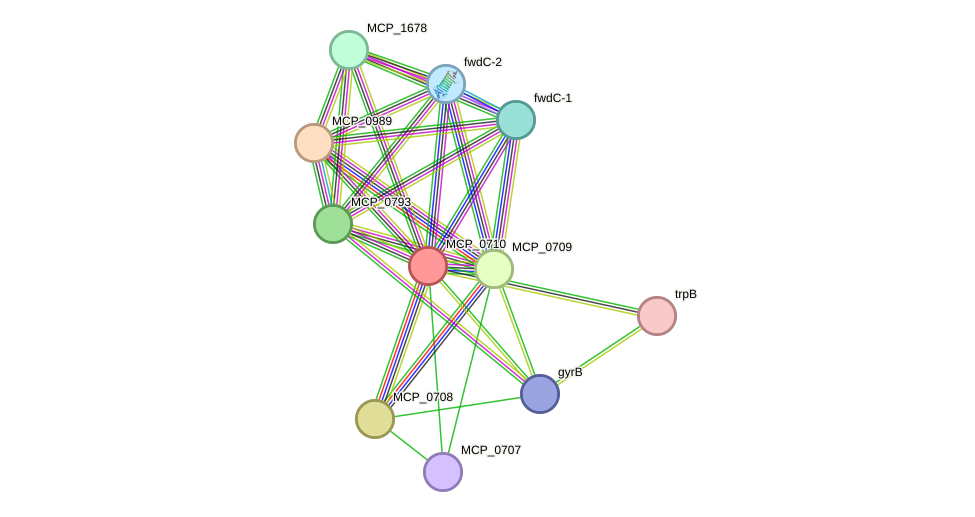 STRING protein interaction network