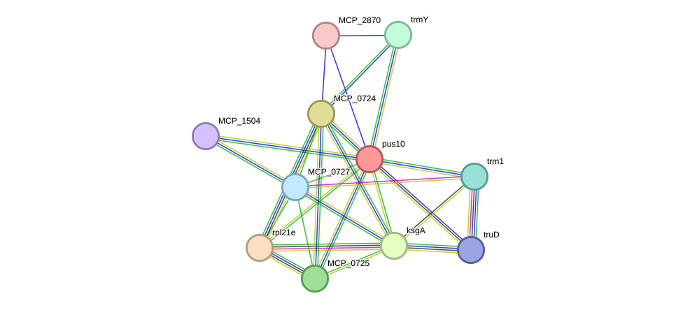 STRING protein interaction network