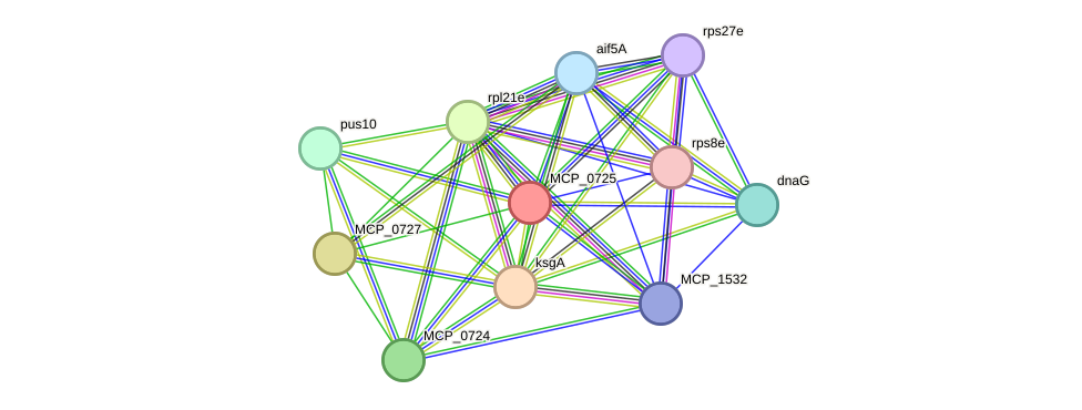 STRING protein interaction network