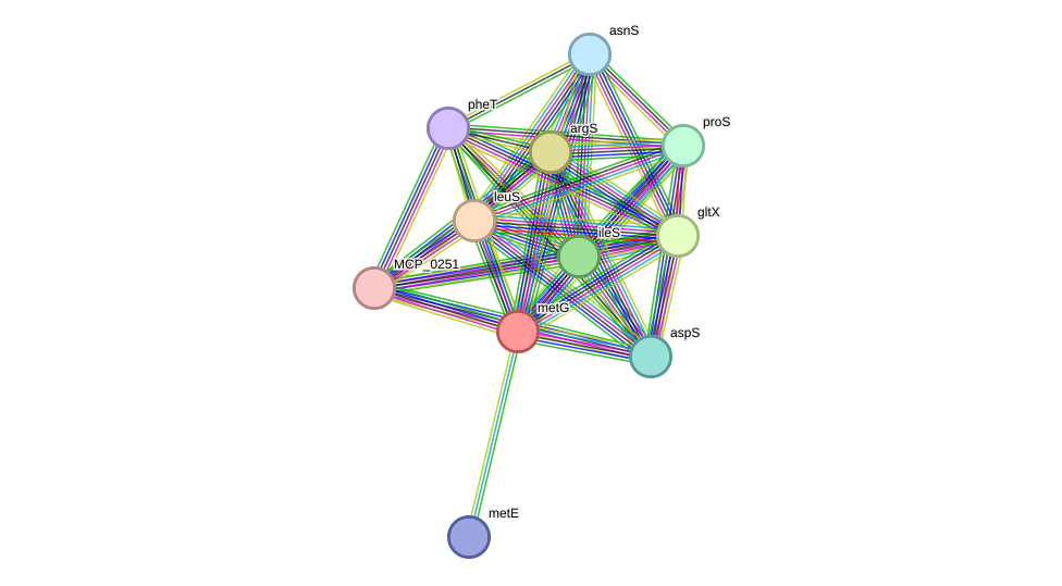 STRING protein interaction network