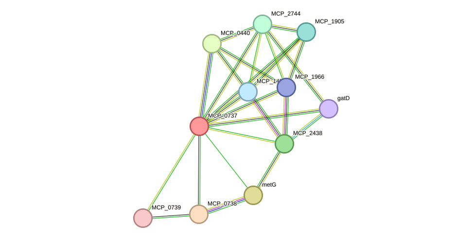 STRING protein interaction network