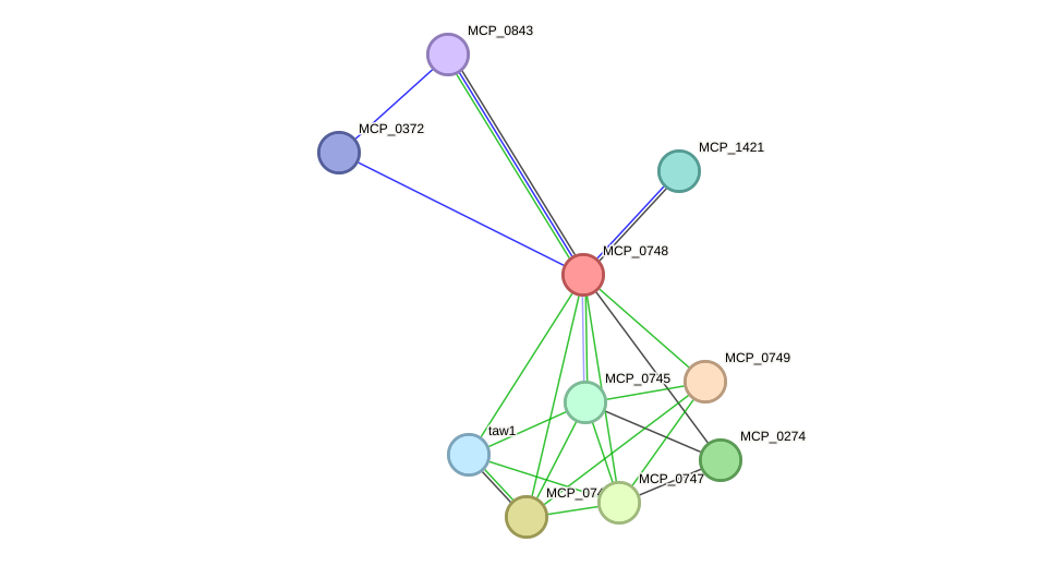 STRING protein interaction network