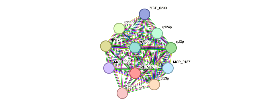 STRING protein interaction network