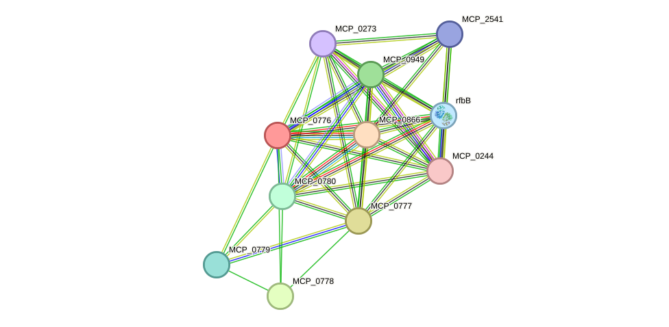 STRING protein interaction network