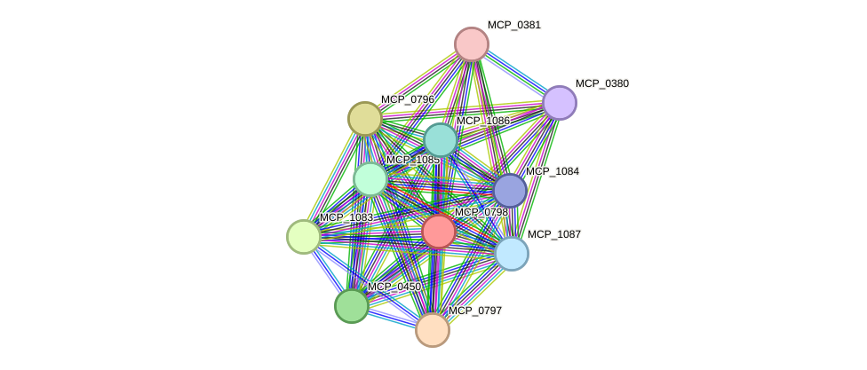 STRING protein interaction network