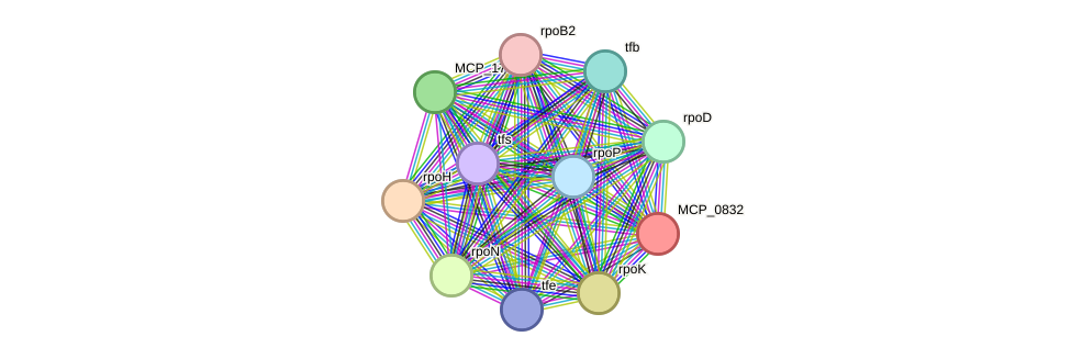 STRING protein interaction network
