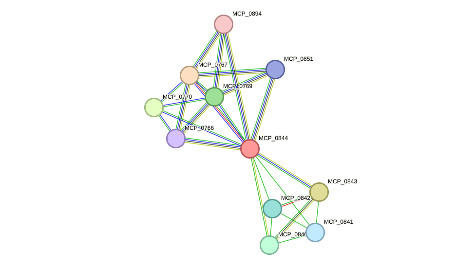 STRING protein interaction network