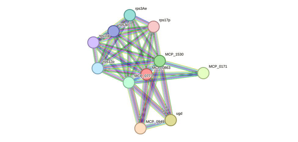 STRING protein interaction network