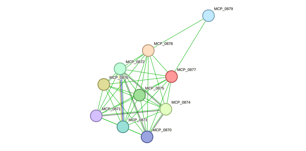 STRING protein interaction network