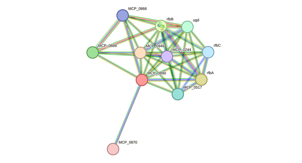 STRING protein interaction network