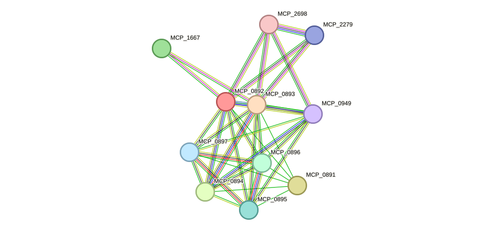 STRING protein interaction network