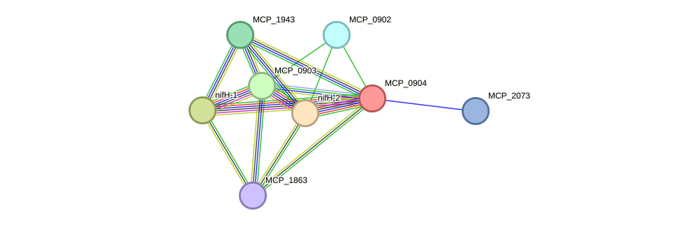 STRING protein interaction network
