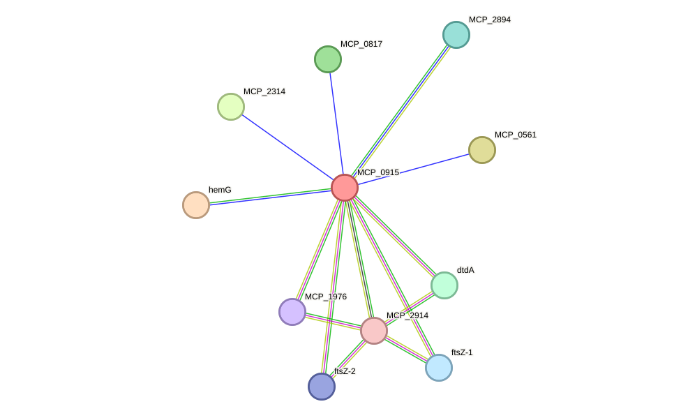 STRING protein interaction network