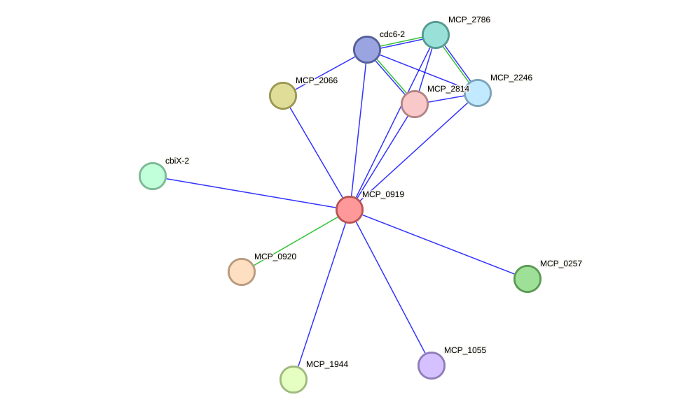 STRING protein interaction network