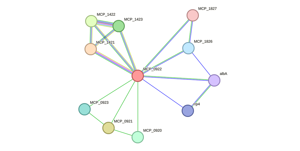 STRING protein interaction network
