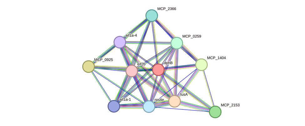 STRING protein interaction network